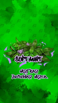 Табак B3 SOFT MINT МЯГКАЯ МЯТА 50 ГР