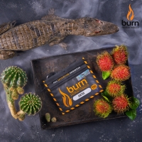 Burn (Берн) Cactus 100 гр.