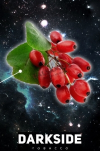 Табак для кальяна Dark Side (Дарк Сайд) 100 гр. «Барбарисовая жвачка»