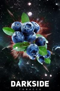 Табак для кальяна Dark Side (Дарк Сайд) 100 гр. «Черника»