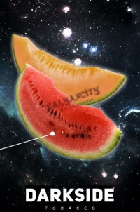 Табак для кальяна Dark Side (Дарк Сайд) 100 гр. «Арбуз с дыней»