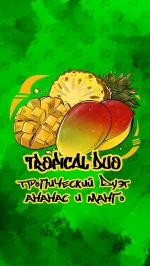 Табак B3 TROPICAL DUO ТРОПИЧЕСКИЙ ДУЭТ 50 ГР
