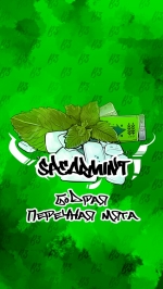 Табак B3 SPEARMINT САДОВАЯ МЯТА 50 ГР