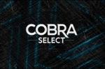 Cobra Select Melon (Дыня) 40г