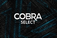 Cobra Select Strawberry Champagne 40г